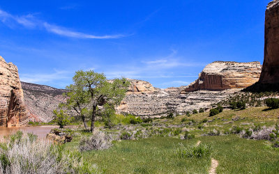 Echo Park and the Green River in Dinosaur National Monument