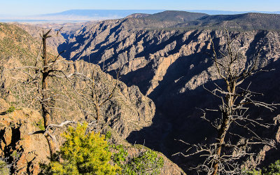 Early morning along the Warner Point Trail in Black Canyon of the Gunnison National Park