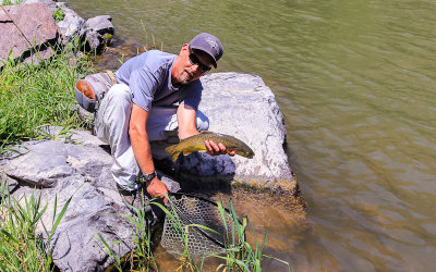 Brown Trout caught along the Gunnison River in the Portal Area in Black Canyon of the Gunnison National Park