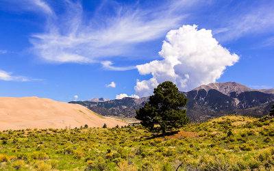 The Dunes at the foot of the Sangre de Cristo Mountain Range in Great Sand Dunes National Park 