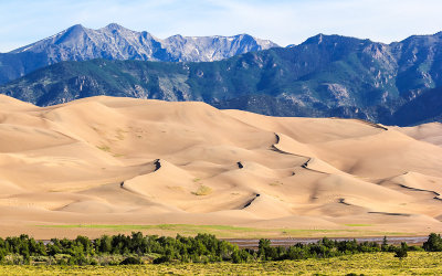 The dunes in front of the Sangre de Cristo Mountain Range in Great Sand Dunes National Park