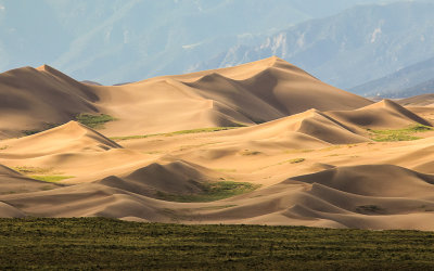 Afternoon sun on the dunes in Great Sand Dunes National Park