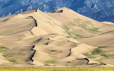 Star Dune (755 ft.) in Great Sand Dunes National Park