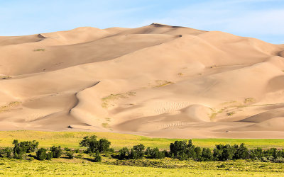 The dunes as seen from the Sand Pit Trail in Great Sand Dunes National Park