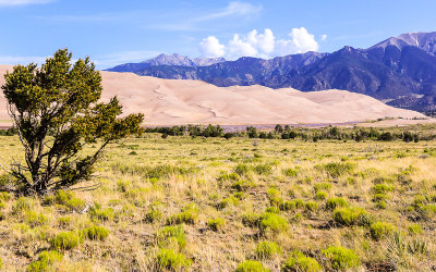 View along the Sand Pit Trail in Great Sand Dunes National Park