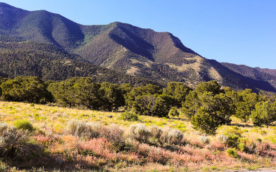 Sangre de Cristo Mountains as seen from the Sand Pit Trail in Great Sand Dunes National Park