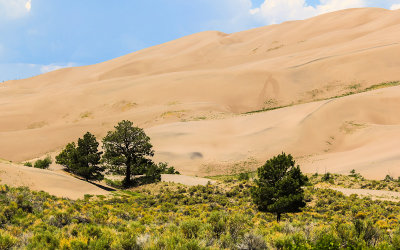 Sand dunes along the Sand Pit Trail in Great Sand Dunes National Park