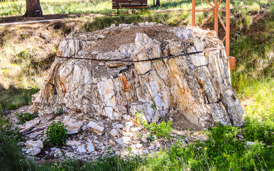 Banded petrified Redwood stump near the Visitor Center in Florissant Fossil Beds National Monument