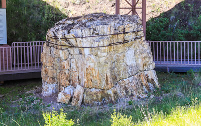 Banded petrified Redwood stump near the Visitor Center in Florissant Fossil Beds National Monument