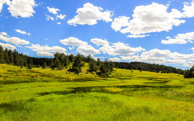 Boulder Creek meadow along the Boulder Creek Trail in Florissant Fossil Beds National Monument