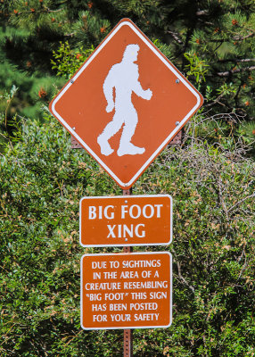 Big Foot warning sign along the Pikes Peak Highway