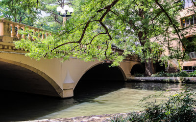 Sunlight through the trees along the San Antonio River Walk