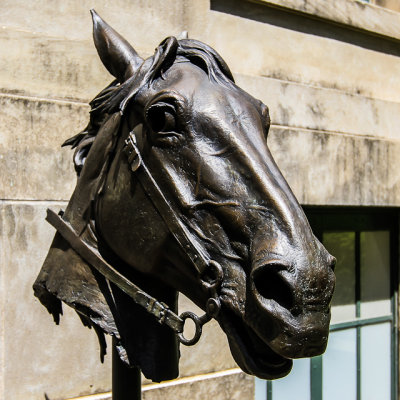 Horse head sculpture along the San Antonio River Walk