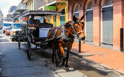 Horse drawn carriage on the streets of the French Quarter