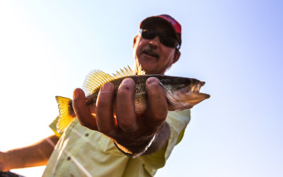 David scores a huge fish from the Tennessee River in Chattanooga Tennessee