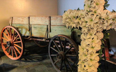 Funeral carriage that carried the casket of Martin Luther King in Martin Luther King Jr. NHS