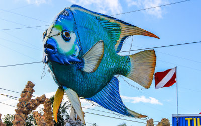 A large fish displayed in the Florida Keys