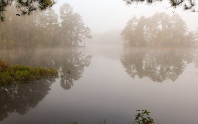 Trees reflected in fog shrouded Lake Jasper in Hardeeville South Carolina