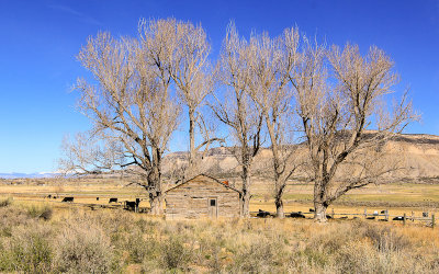 Ranch that surrounds Yucca House National Monument on US 491 south of Cortez New Mexico