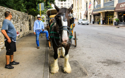 Carriage operator outside the Alamo in downtown San Antonio Texas