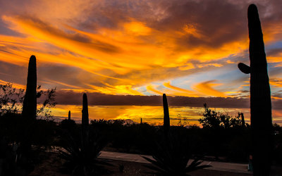 Sunset back home outside Tucson Arizona