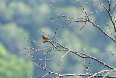 DSC_2938.jpg