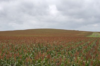 DSC_3437.jpg