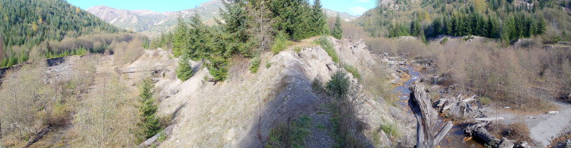 Lewis River Surveys