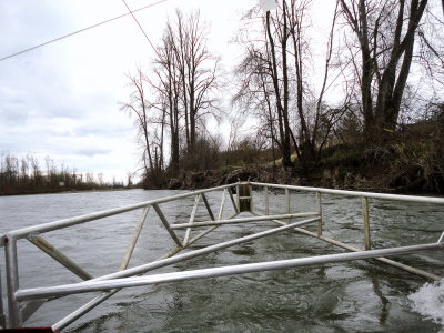 Chehalis River Trap