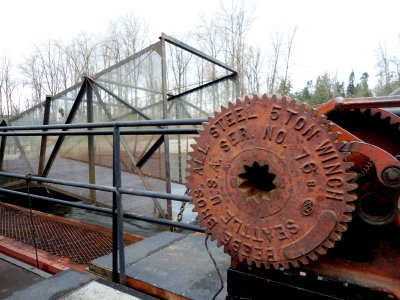 Chehalis River Trap