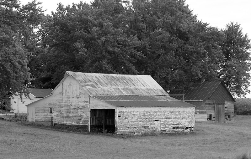 _BC_2595 copy.jpg