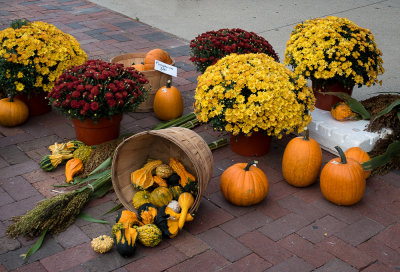 DSC04951-Edit.jpg