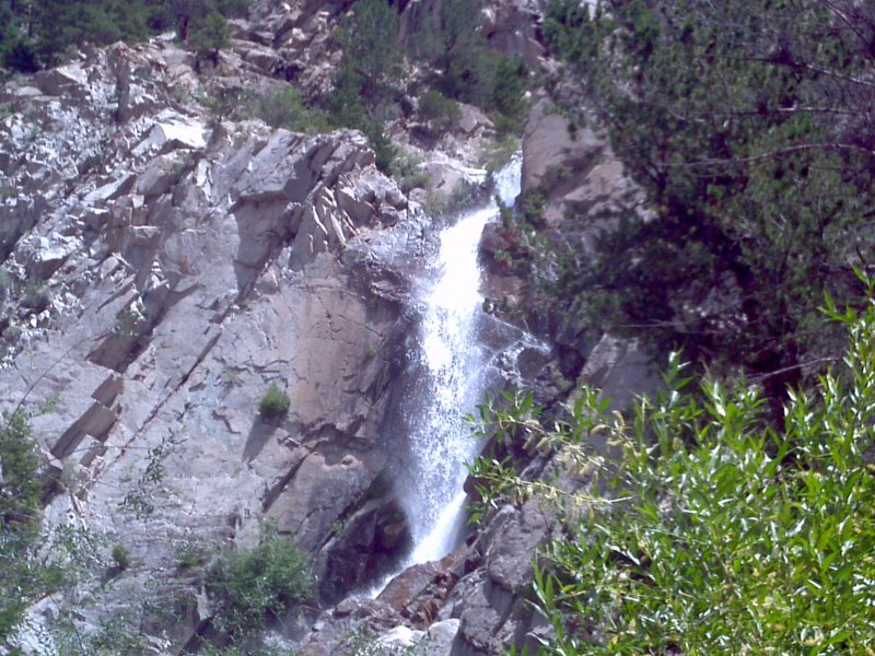 IMG_20130720_133933.jpg