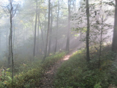 mist on the trail