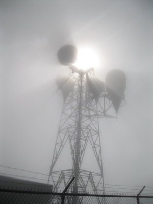 Misty tower