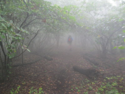 Walking in the mist/rain.
