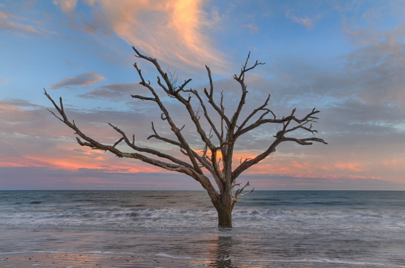 Botany Bay S. Carolina