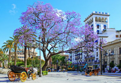 Seville Spain.jpg