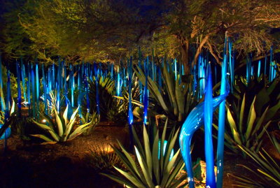 Chihuly In The Arizona Desert.jpg