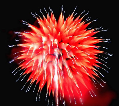 Focus Blurred Fireworks.jpg