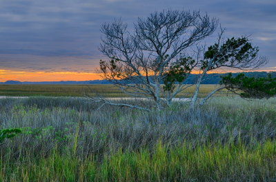 Botany Bay_01.jpg
