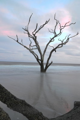 Botany Bay_02.jpg