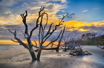 Botany Bay_03.jpg