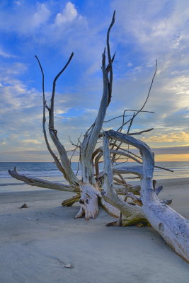 Botany Bay_04.jpg