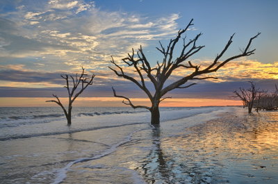 Botany Bay_05.jpg