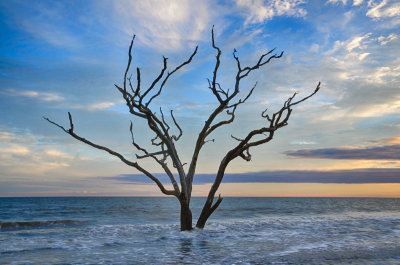 Botany Bay_06.jpg