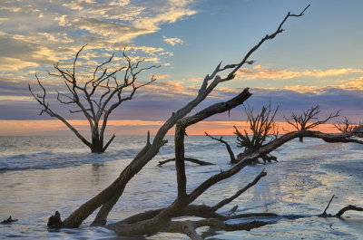 Botany Bay_07.jpg