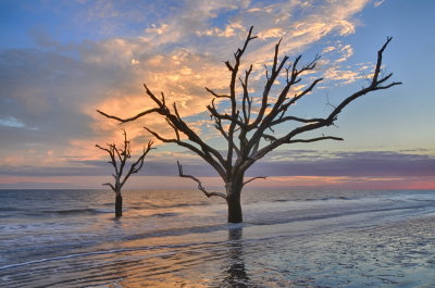Botany Bay_08.jpg