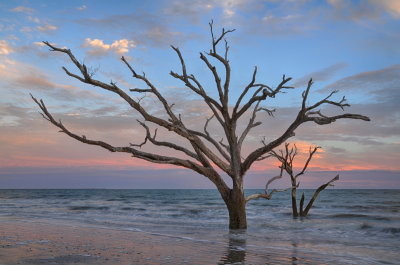 Botany Bay_09.jpg