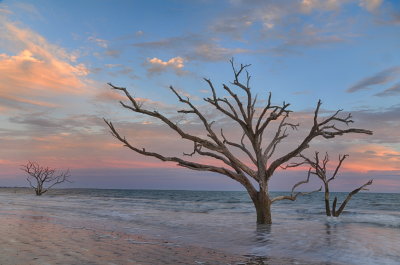 Botany Bay_10.jpg